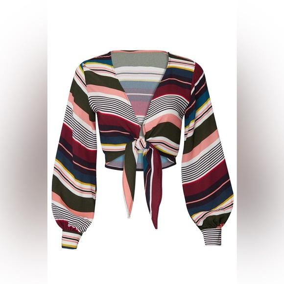 Flynn Skye striped Allie tie front crop top - Picture 1 of 9